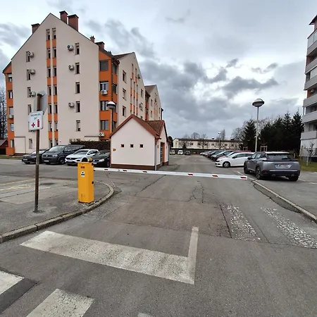 Apartma Golob شقة