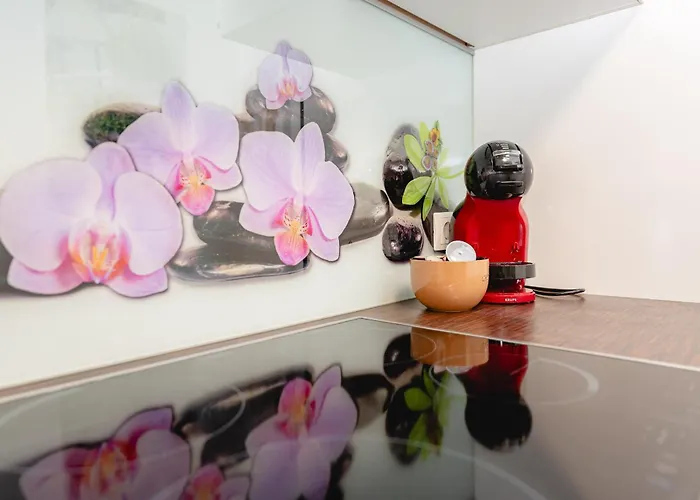 Apartma Golob 马里博尔